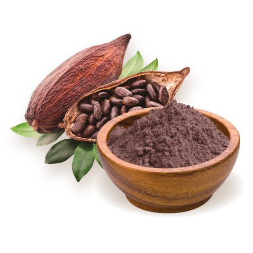 BioMenü bio pudră de Cacao Peru 250 g materie primă
