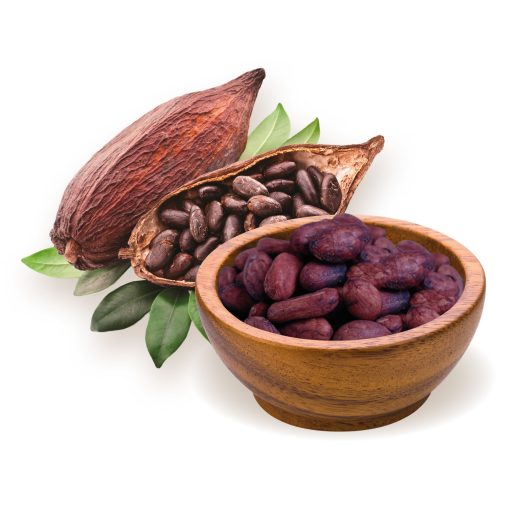 BioMenü bio Cacao boabe Peru 250 g materie primă