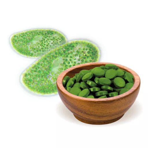 BioMenü bio Chlorella Alga comprimat 125 g materie primă