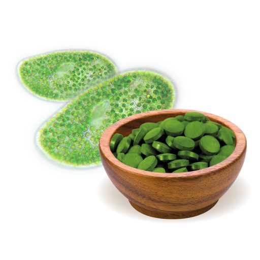 BioMenü bio Chlorella Alga comprimat 250 g materie primă