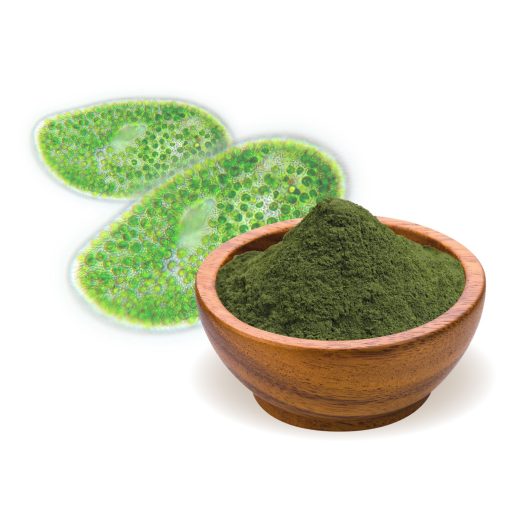 BioMenü bio Chlorella Alga pudră 125 g materie primă