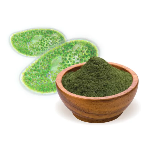 BioMenü bio Chlorella Alga pudră 250 g materie primă