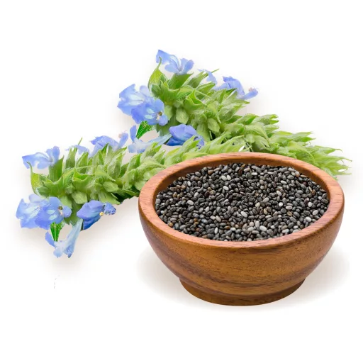 BioMenü bio Seminte de Chia 125 g materie primă