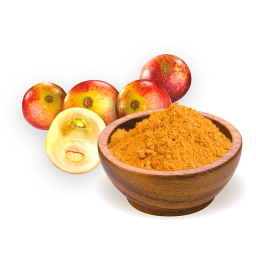 BioMenü bio Camu Camu pudră 60 g materie primă