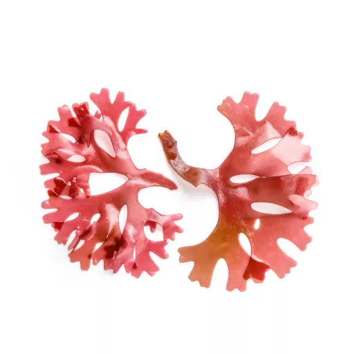 Caleido Astaxantina gel capsule 60 buc materie primă