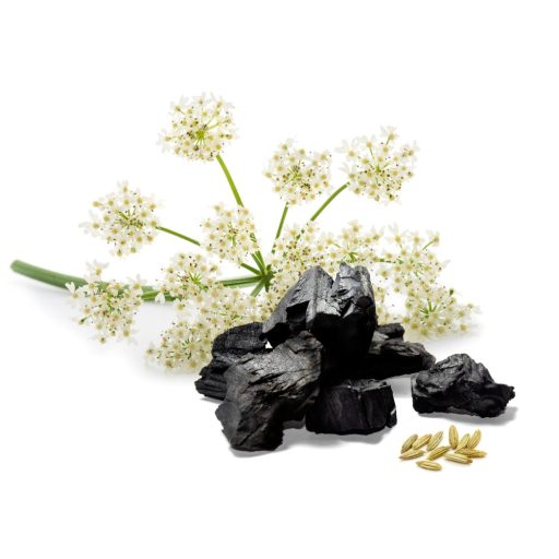 Caleido Anason + Cărbune Activ capsule 60 buc materie primă