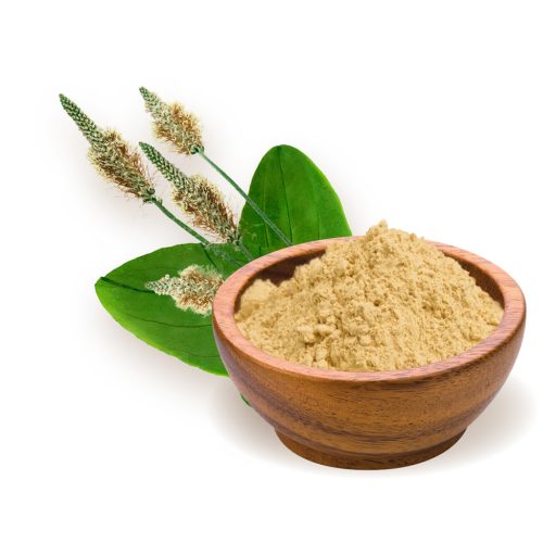 BioMenü bio Făină de Coajă de Pătlagină 125 g materie primă