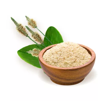 BioMenü bio Coajă de Pătlagină 125 g imagine produs