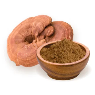 BioMenü bio Ganoderma pudră 100 g imagine produs
