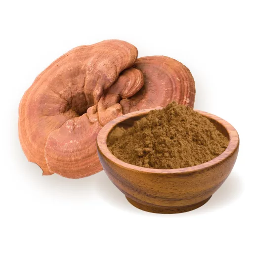 BioMenü bio Ganoderma pudră 100 g materie primă