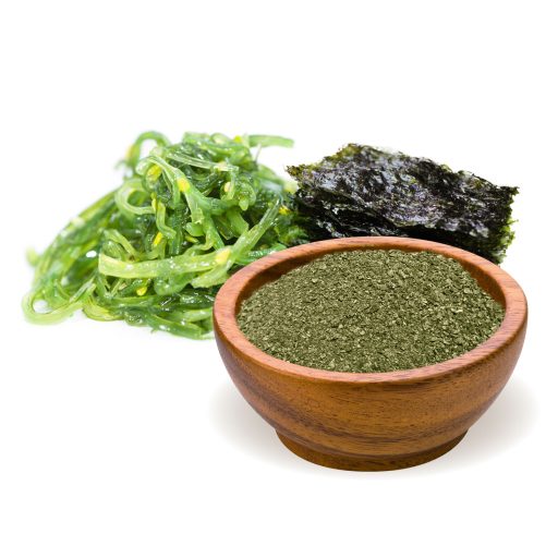 BioMenü bio Kelp - Alge Marine pudră 125 g materie primă