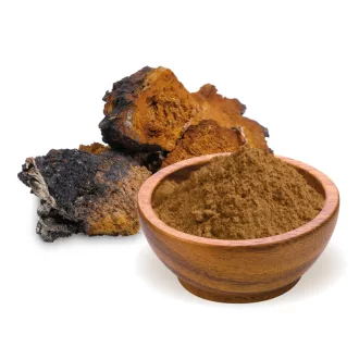 BioMenü bio Chaga ciupercă pudră 100 g imagine produs