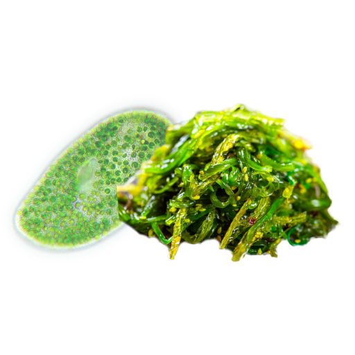 BioMenü bio Chlorella si Spirulina Alga capsule 60 buc materie primă