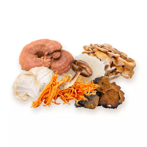 BioMenü bio mix de 7-Ciuperci capsule 60 buc materie primă