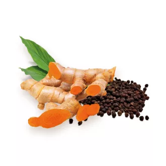 BioMenü bio Turmeric (Curcuma) + Piper negru capsulă 60 buc imagine produs