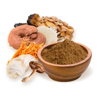 BioMenü bio mix de 7-Ciuperci pudră 100 g imagine produs
