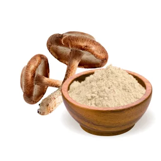 BioMenü Bio Shiitake ciupercă pudră 100 g imagine produs