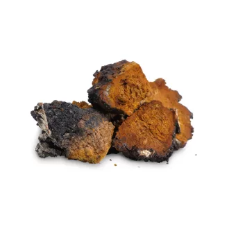 BioMenü bio Chaga ciupercă capsule 60 buc imagine produs