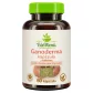 BioMenü bio Ganoderma ciupercă capsule 60 buc imagine produs