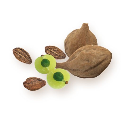 BioMenü bio Triphala capsulă 60 buc materie primă