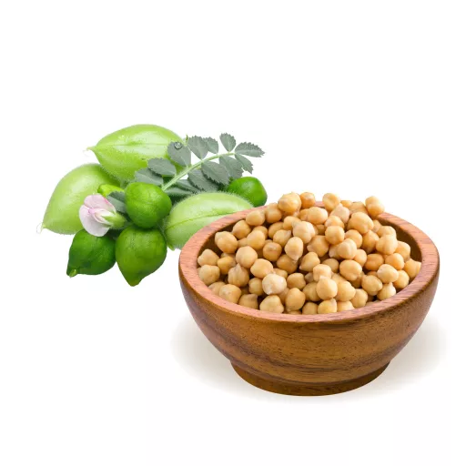 BioMenü Bio Naut 500 g materie primă