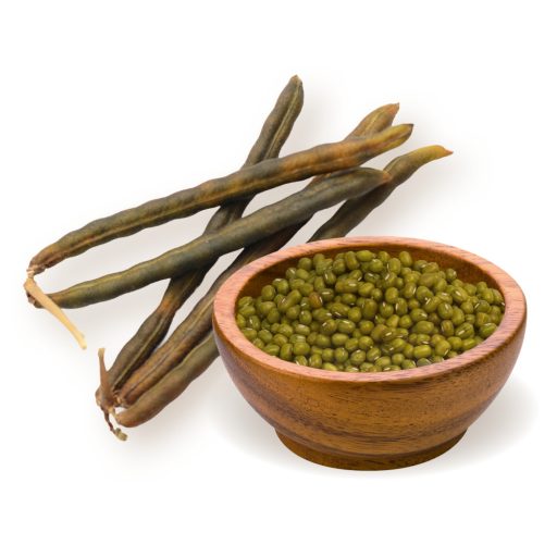 BioMenü Bio Fasole Mung 500 g materie primă