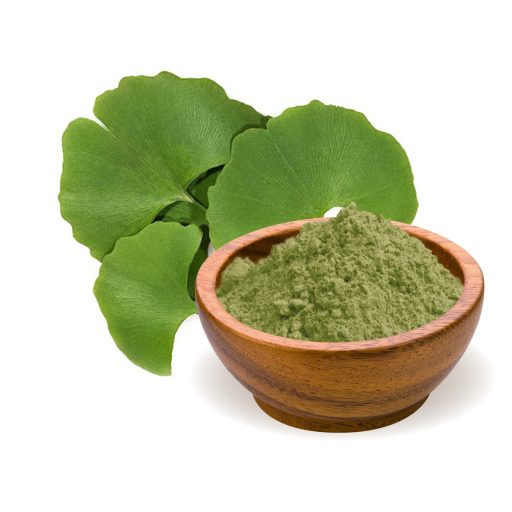 BioMenü bio Ginkgo Biloba pudra 100 g materie primă