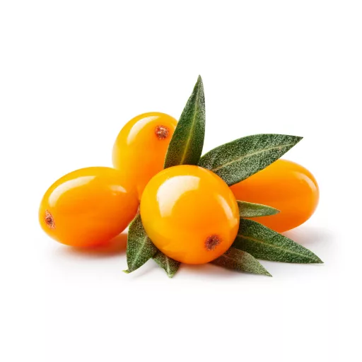 Caleido Ulei de semințe de cătină capsule 60 buc materie primă