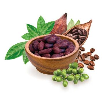 Cafea, ceai, cacao, energizant