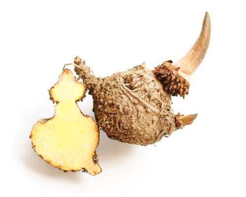 Konjac glucomannan