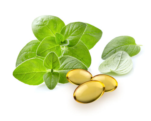 Oregano